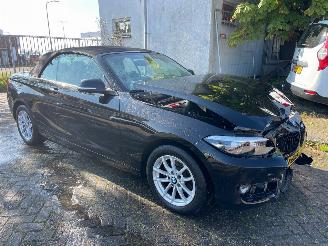 BMW 2-serie 218i clima/pdc/cabriolet picture 2