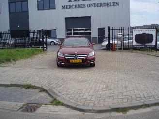 Unfall Kfz Van Mercedes CLS CLS 250 CDI 2012/1