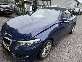 Avarii campere BMW 2-serie 218i  Automaat Cabriolet 2018/1