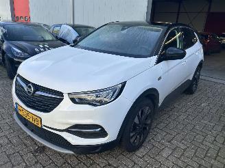 škoda osobní automobily Opel Grandland X  1.2 Turbo Business Executive 2020/3