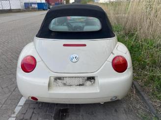 Volkswagen Beetle  picture 10
