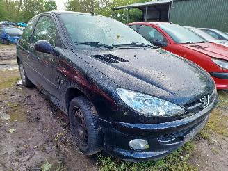 Auto incidentate Peugeot 206 1.4 Forever 2008/2