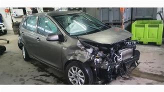 Vaurioauto  passenger cars Kia Picanto Picanto (JA), Hatchback, 2017 1.0 12V 2019/3