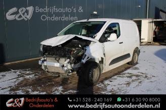 danneggiata veicoli commerciali Opel Combo Combo Cargo, Van, 2018 1.6 CDTI 100 2019/6
