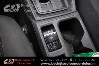 Volkswagen Caddy Caddy Cargo V (SBA/SBH), Van, 2020 2.0 TDI BlueMotionTechnology picture 16