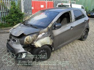 skadebil auto Kia Picanto Picanto (TA) Hatchback 1.0 12V (G3LA) [51kW]  (05-2011/06-2017) 2012