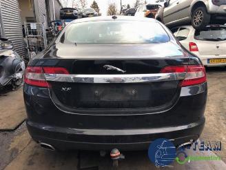 škoda osobní automobily Jaguar XF XF (CC9), Sedan, 2008 / 2015 3.0 D V6 24V 2010/8