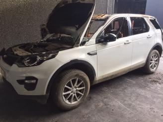 dommages fourgonnettes/vécules utilitaires Land Rover Discovery Sport 2000CC - 110KW - DIESEL 2016/1