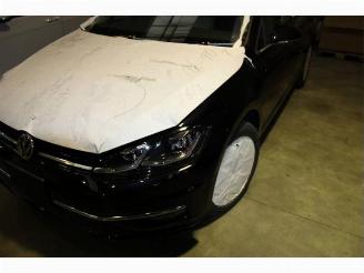 Salvage car Volkswagen Golf  2019/11